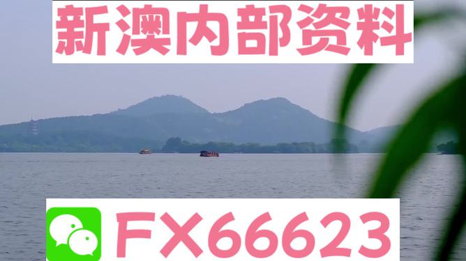 新澳2024正版資料免費(fèi)公開，探索與啟示，新澳2024正版資料探索與啟示，免費(fèi)公開內(nèi)容揭秘