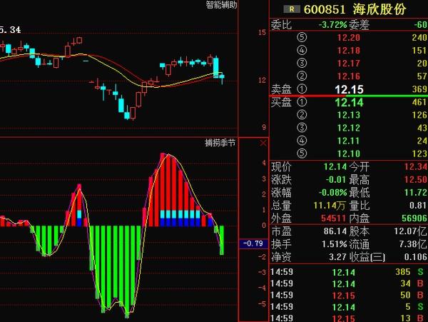 海欣股份借殼，企業(yè)擴(kuò)張的新路徑探索，海欣股份借殼，企業(yè)擴(kuò)張新路徑探索