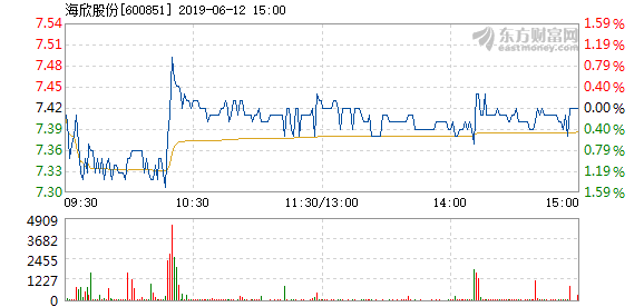 海欣股份目標價30元的投資邏輯與市場展望，海欣股份目標價30元，投資邏輯與市場展望分析