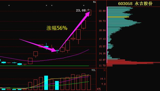 77777788888王中王中特亮點,可靠評估說明_標配版97.631