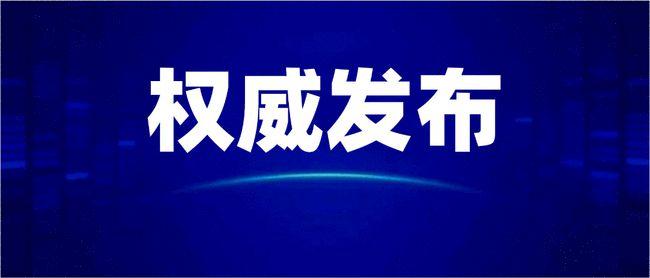 復興網，連接過去與未來的橋梁，復興網，連接時空的橋梁，鑄就歷史與未來的交匯點