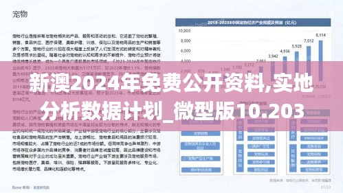 新澳2025今晚開獎資料詳解，新澳2025今晚開獎資料全面解析