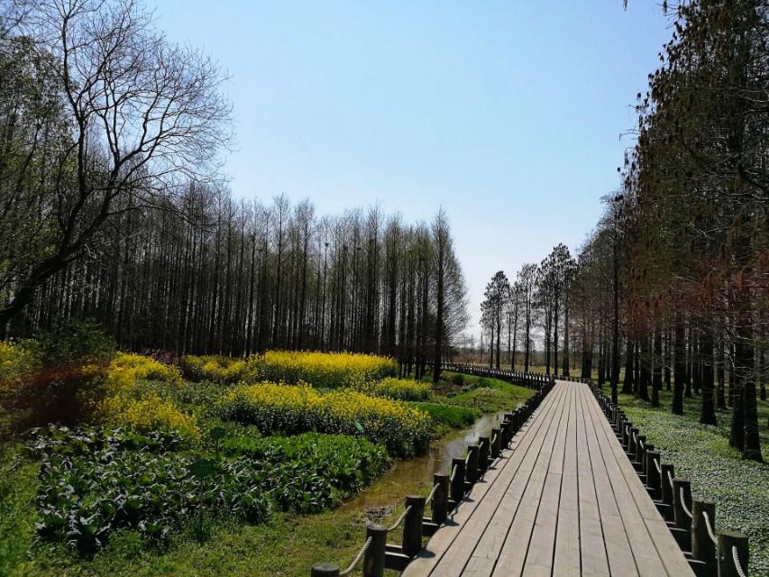 附近離我最近的公園，探索自然與健康的最佳場所，探索自然與健康的最佳場所，附近最近的公園之旅