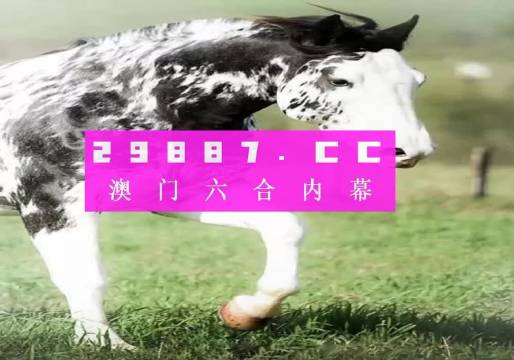 香港內(nèi)部最準(zhǔn)的一肖一碼，探尋背后的真相與理性看待，香港內(nèi)部最準(zhǔn)的一肖一碼，揭秘真相與理性解讀