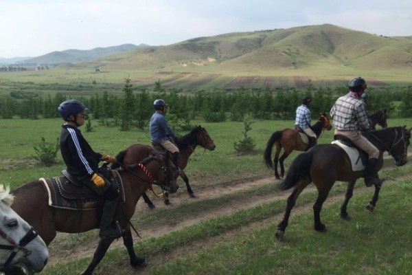 澳門特馬最快開獎結(jié)果，探索與解析，澳門特馬最新開獎結(jié)果解析與探索