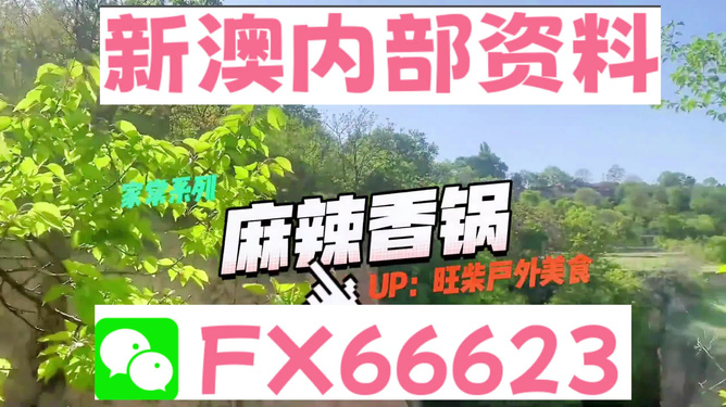 新澳精準(zhǔn)資料免費(fèi)提供的深度解析與實(shí)際應(yīng)用，新澳精準(zhǔn)資料深度解析與免費(fèi)應(yīng)用指南