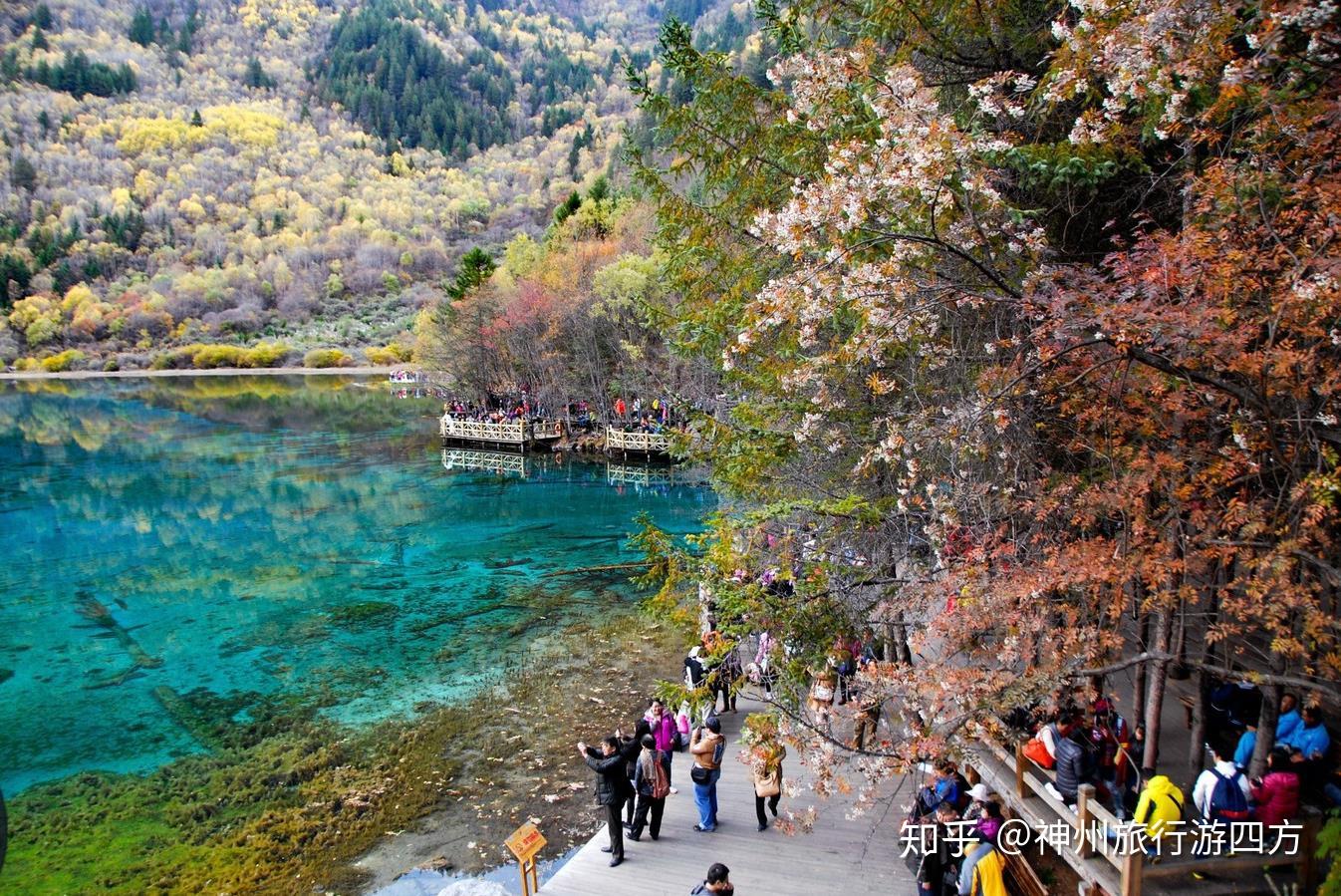 揭秘九寨溝旅游費(fèi)用，去九寨溝旅游需要多少錢(qián)？，揭秘九寨溝旅游費(fèi)用，預(yù)算多少才能暢游九寨溝？