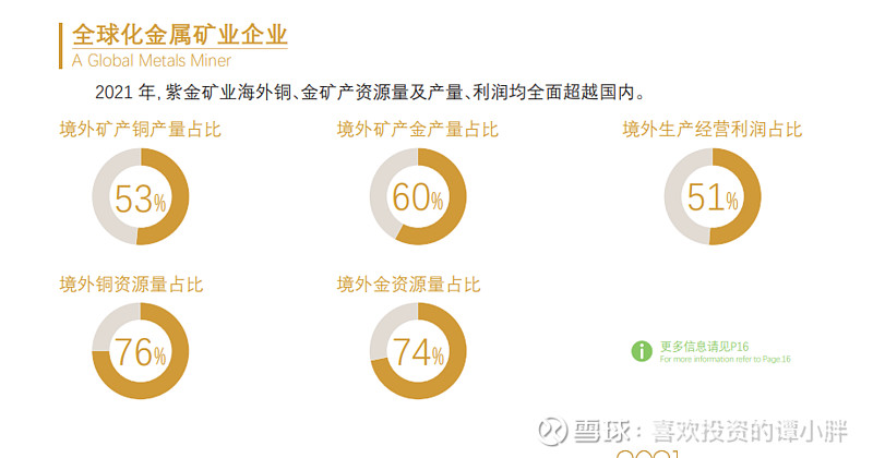 紫金礦業(yè)的未來潛力，探索其巨大的增長前景，紫金礦業(yè)增長前景展望，探索巨大潛力與未來展望