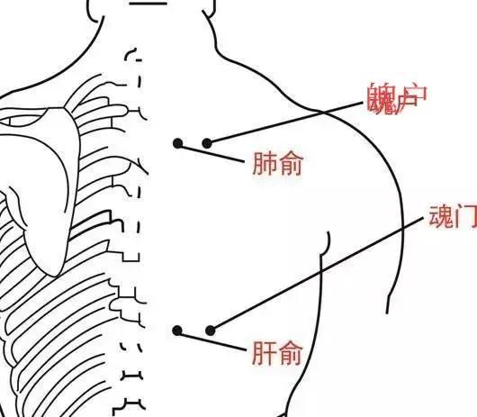 止咳化痰最快的方法，全面解析與實用指南，快速止咳化痰實用指南，全面解析與實用方法