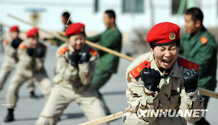 特警與武警，職責(zé)、能力與比較，特警與武警的職責(zé)、能力與比較分析