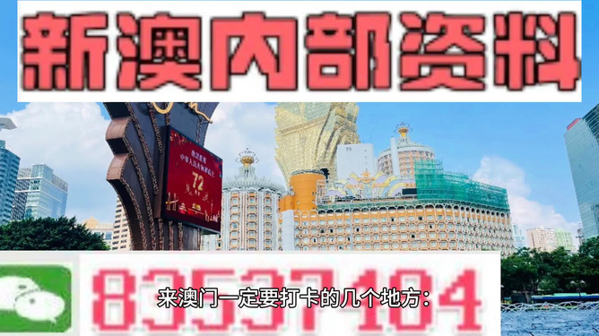 澳門彩票的未來展望，探索精準(zhǔn)正版免費(fèi)之路（至2025年），澳門彩票未來展望，探索精準(zhǔn)正版免費(fèi)之路至2025年展望