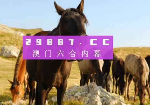 澳門管家婆一肖一碼100精準(zhǔn)