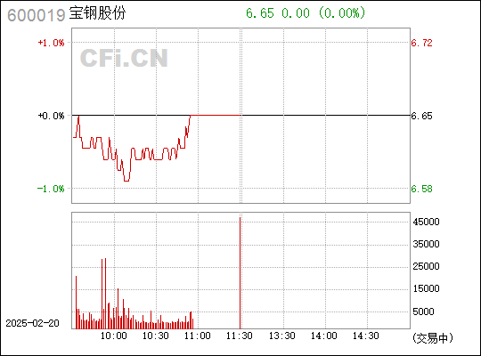 寶鋼股份吧 600019 股吧，深度解析與前景展望，寶鋼股份（600019）深度解析與前景展望，股吧熱議話題