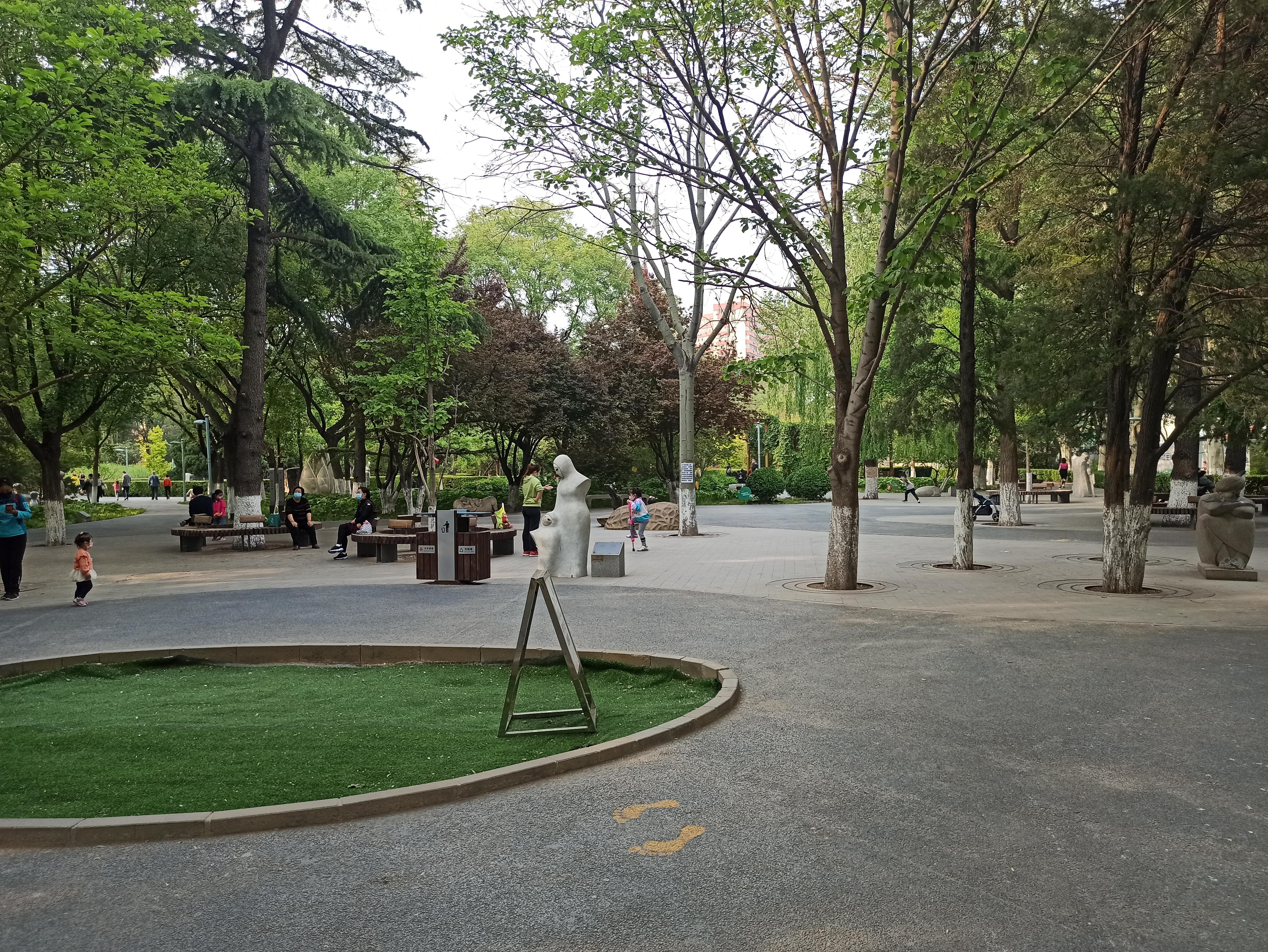 公園里的健身器材名稱及其重要性，公園健身器材名稱介紹及其重要性概述