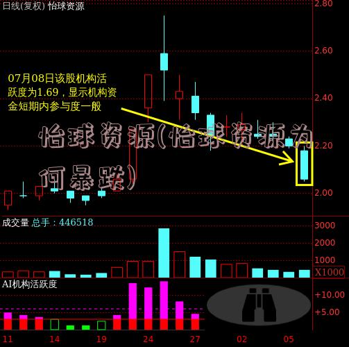 怡球資源股票歷史最高價，回顧與前瞻，怡球資源股票歷史最高價回顧與未來展望