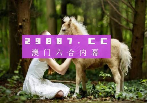 新澳門六開獎結(jié)果記錄，探索與解析，澳門六開獎結(jié)果記錄深度解析與探索