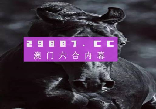 新澳一肖一碼，探索與解析，新澳一肖一碼，深度探索與解析