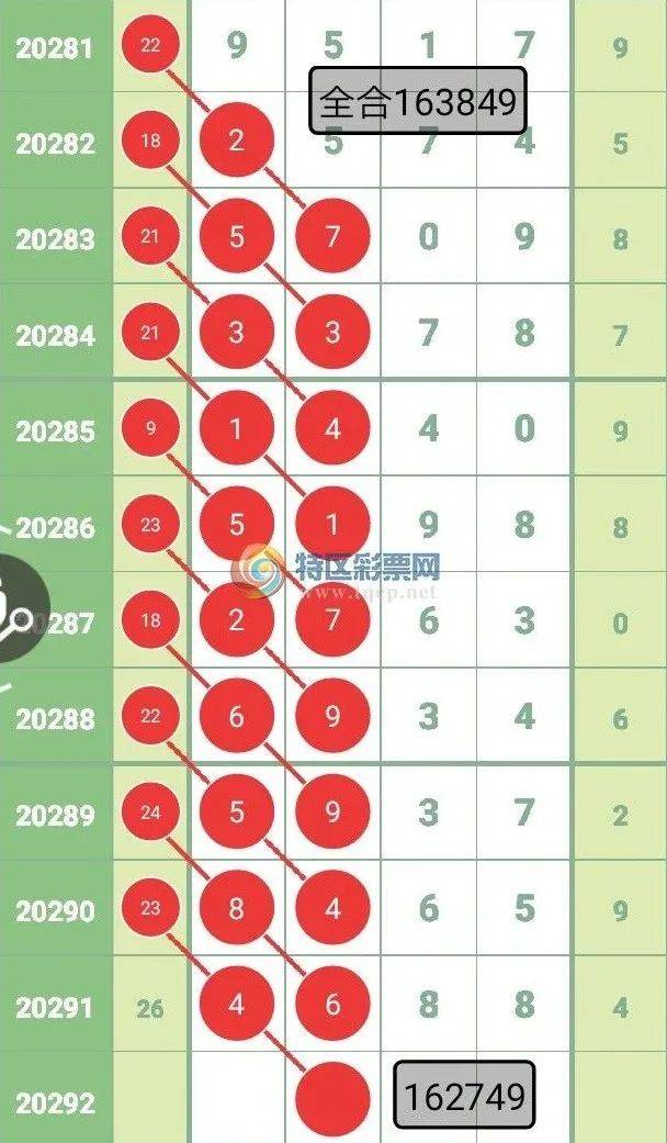 王中王四不一肖中特，探尋神秘文化符號背后的深意，探尋神秘文化符號王中王四不一肖背后的深意