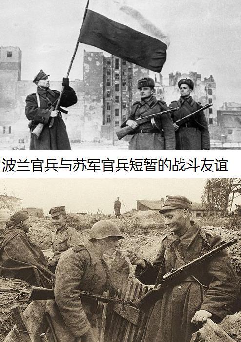 波蘭第1集團軍，歷史、現(xiàn)狀與前瞻，波蘭第1集團軍，歷史沿革、現(xiàn)狀解析與未來前瞻