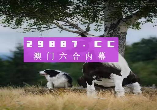 澳門跑狗，歷史、文化與現(xiàn)代娛樂的交融，澳門跑狗，歷史、文化與現(xiàn)代娛樂的交匯點(diǎn)