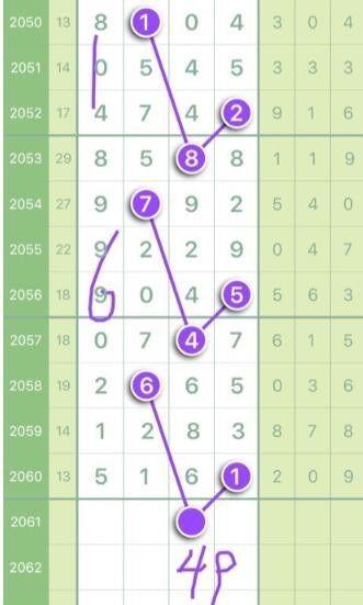 王中王最準(zhǔn)平特一肖——揭秘精準(zhǔn)預(yù)測的魅力，揭秘王中王精準(zhǔn)預(yù)測平特一肖的魅力所在