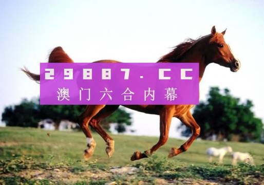 澳門一肖一碼必中一碼，探索背后的秘密與真相，澳門一肖一碼必中真相揭秘，探索背后的秘密