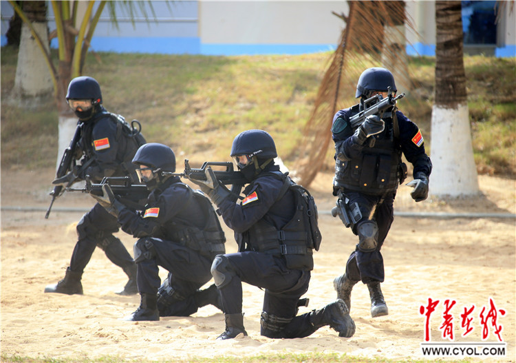 揭秘蛟龍突擊隊所屬軍種，揭秘蛟龍突擊隊所屬軍種，神秘特種部隊探秘