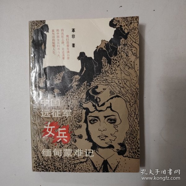 緬甸遠(yuǎn)征軍的小說，英勇與犧牲的史詩(shī)，緬甸遠(yuǎn)征軍，英勇犧牲的史詩(shī)之旅