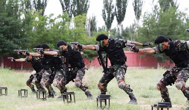 揭秘蛟龍突擊隊與先進(jìn)武器，戰(zhàn)斗力倍增的力量之源，揭秘蛟龍突擊隊與先進(jìn)武器，戰(zhàn)斗力倍增的源泉