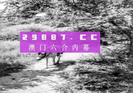 澳門六肖十八碼