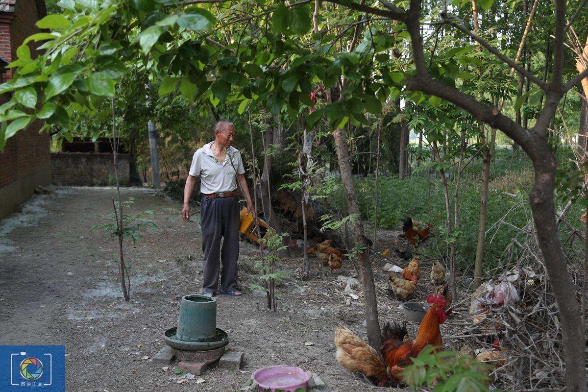 重慶816核基地，歷史、現(xiàn)狀及其重要性，重慶816核基地，歷史、現(xiàn)狀與重要性探究