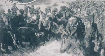 支普齊對(duì)峙事件，歷史與現(xiàn)實(shí)的交匯點(diǎn)，支普齊對(duì)峙事件，歷史與現(xiàn)實(shí)的交匯點(diǎn)解析