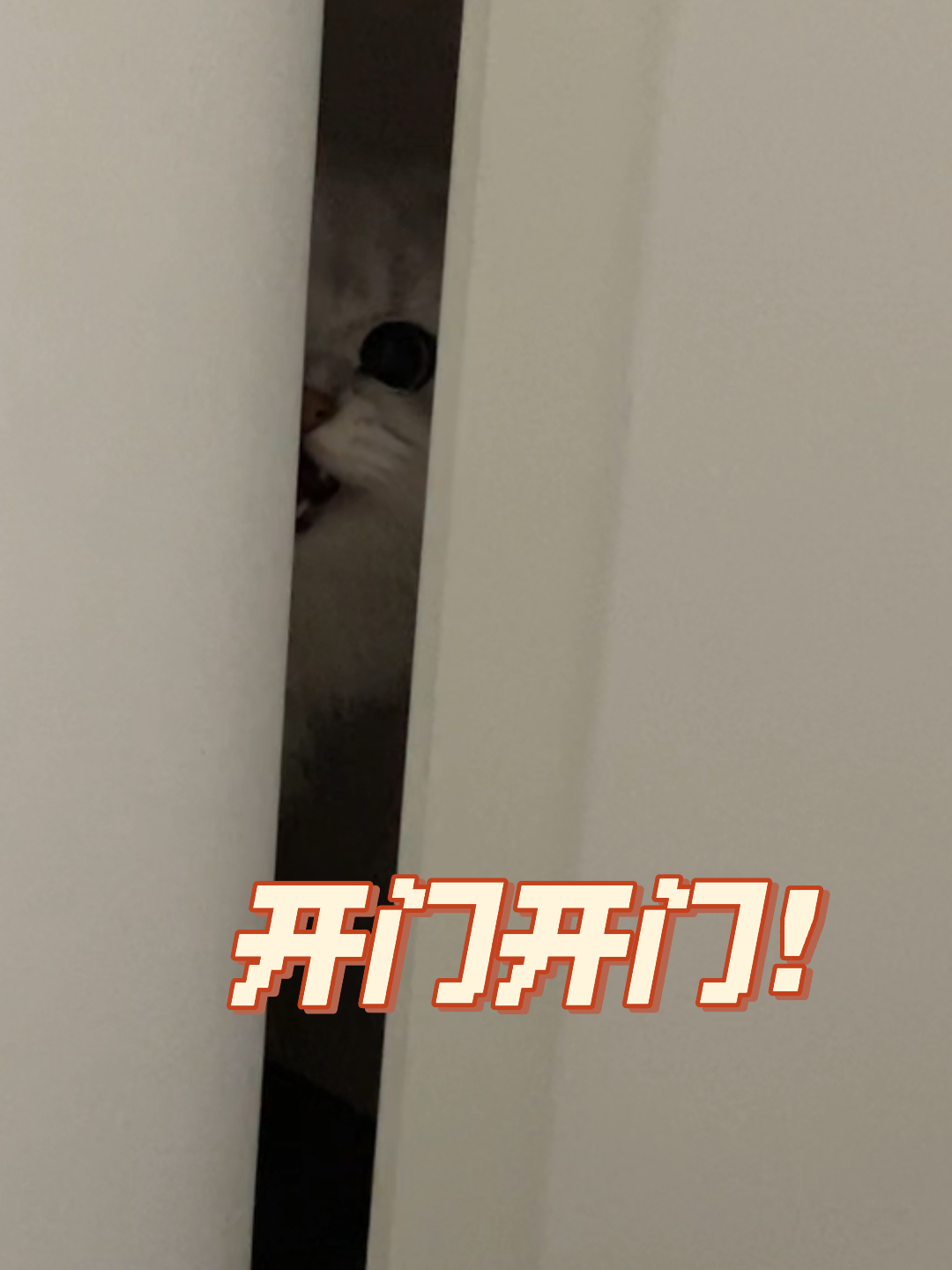 今天大佬也不想開門，城市生活的節(jié)奏與人的情感波動，城市節(jié)奏下的情感波動，今日大佬也不欲開門