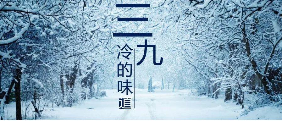 今天是四九的第幾天？寒冬中的溫暖與期待，四九中的溫暖與期待，今日是第幾篇章？