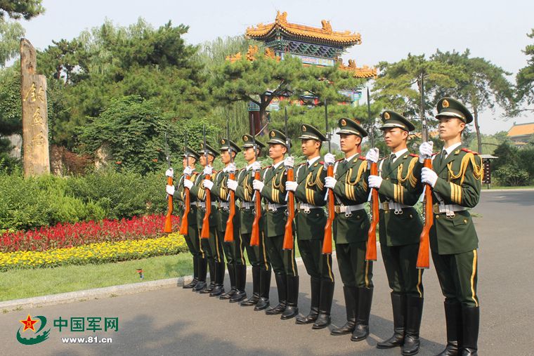 禮兵，榮耀的象征與職責(zé)的擔(dān)當(dāng)，禮兵，榮耀的象征與職責(zé)的擔(dān)當(dāng)之旅