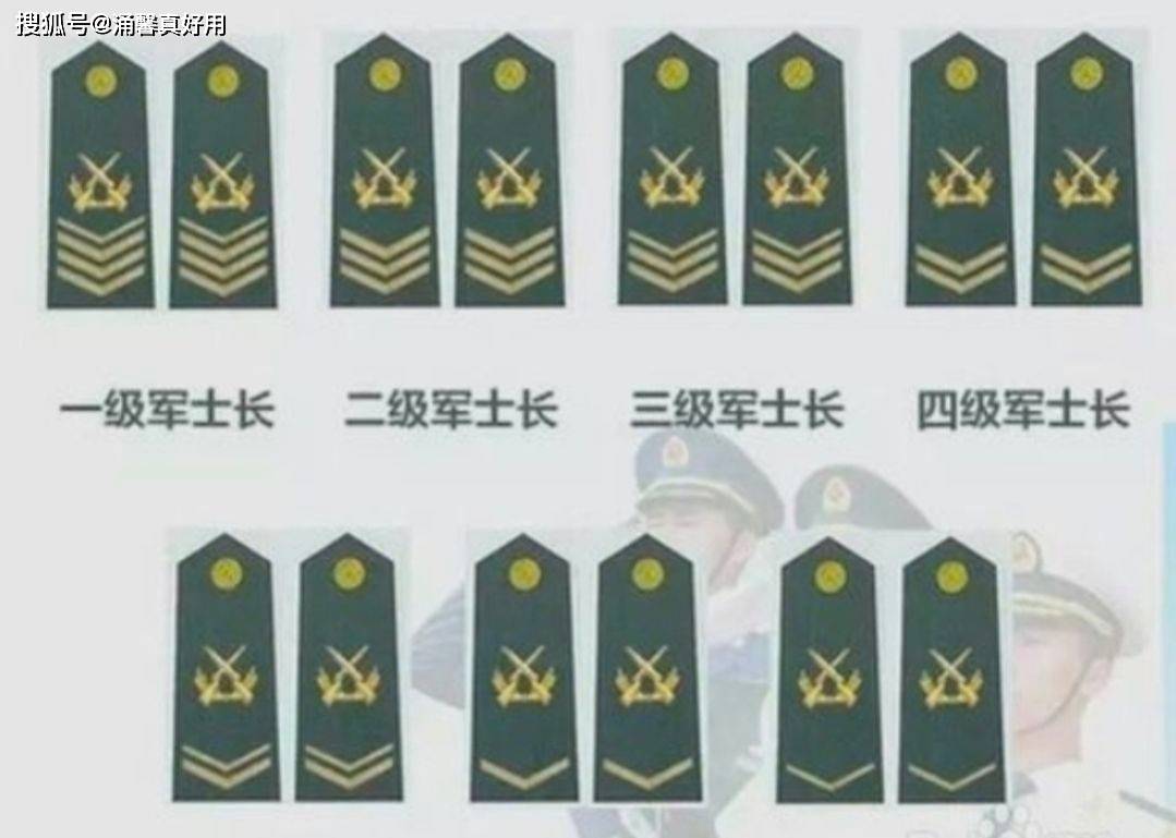 七級(jí)士官軍銜，榮譽(yù)與責(zé)任的象征，七級(jí)士官軍銜，榮譽(yù)與責(zé)任的標(biāo)志