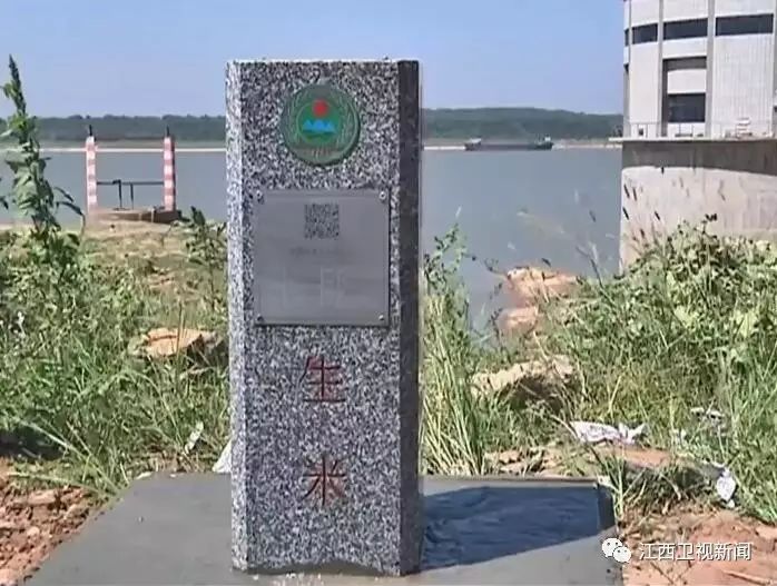 樊孝俊，時(shí)代先鋒，引領(lǐng)未來的卓越力量，樊孝俊，時(shí)代先鋒，引領(lǐng)卓越未來之力