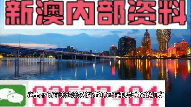 澳門正版資料大全資料，歷史、文化、經(jīng)濟與社會發(fā)展的多維視角，澳門多維視角，歷史、文化、經(jīng)濟與社會發(fā)展資料大全