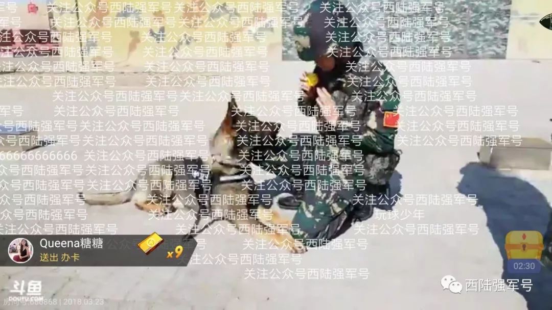 中國網(wǎng)絡(luò)部隊(duì)的規(guī)模與職能，中國網(wǎng)絡(luò)部隊(duì)的規(guī)模與職能概述