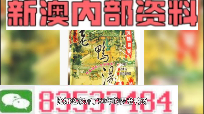 新澳2025年正版資料深度解析，新澳2025年正版資料深度剖析