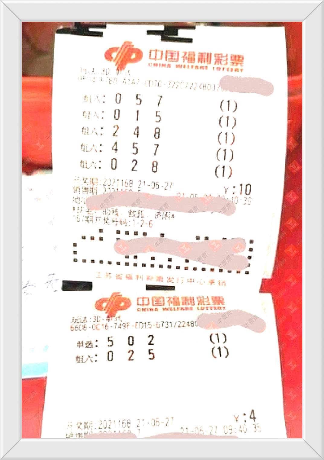 平特一肖