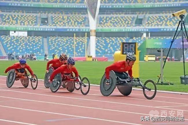 探索未來，澳門正版免費(fèi)資本車的新篇章（2025展望），澳門資本車新篇章展望，探索未來，正版免費(fèi)，共赴2025新篇章