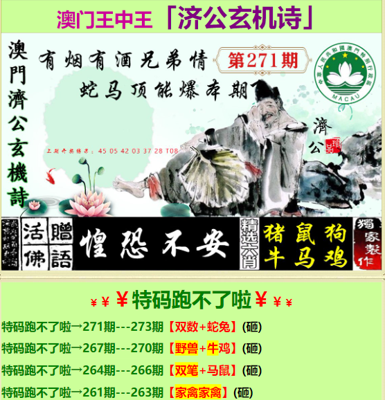 探究王中王一肖中特，一個獨特的文化現(xiàn)象與深層內(nèi)涵，探究王中王一肖中特的獨特文化現(xiàn)象與深層內(nèi)涵