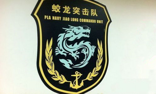 蛟龍突擊隊(duì)編制是連嗎？——解析特種部隊(duì)編制與使命，特種部隊(duì)編制揭秘，蛟龍突擊隊(duì)是連級(jí)單位嗎？解析其使命與編制