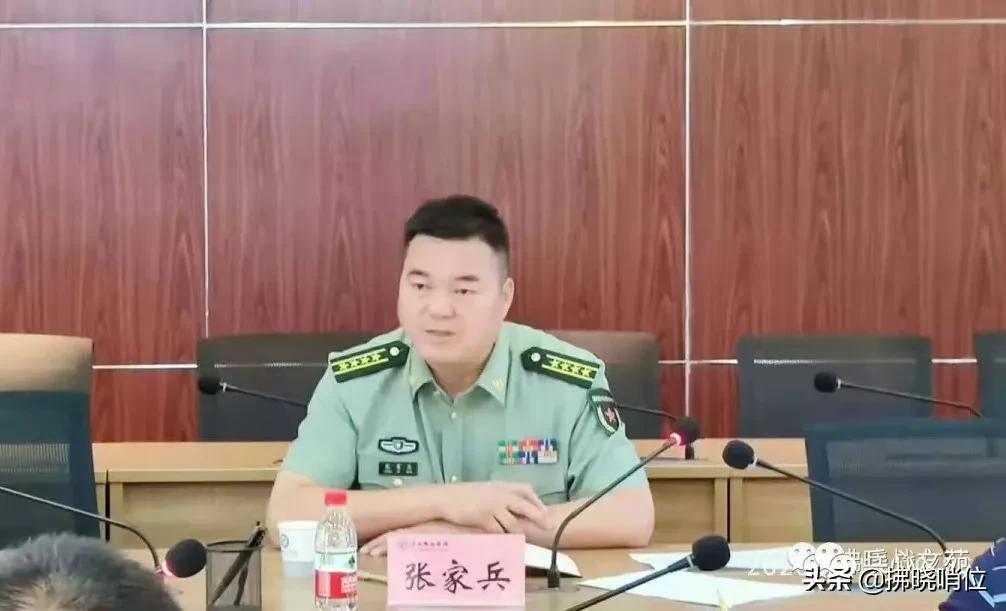 集團軍處長級別的職責(zé)與角色解析，集團軍處長級別的職責(zé)與角色深度解析