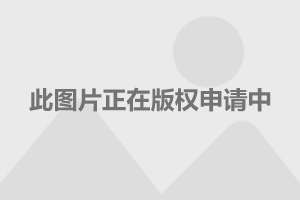 武直-10登陸軍艦，海軍航空兵力量的嶄新篇章，武直-10登陸軍艦，海軍航空兵力量的嶄新里程碑