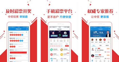 王中王玄機(jī)一肖資料深度解析，王中王玄機(jī)一肖資料深度剖析