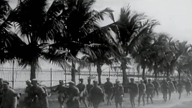 海南島戰(zhàn)役對(duì)登臺(tái)作戰(zhàn)的啟示，海南島戰(zhàn)役對(duì)登臺(tái)作戰(zhàn)的啟示與影響