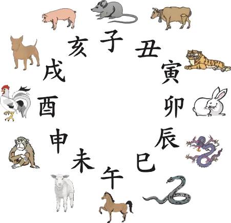 王中王016指一生肖——探尋背后的神秘與魅力，王中王016生肖背后的神秘魅力探尋