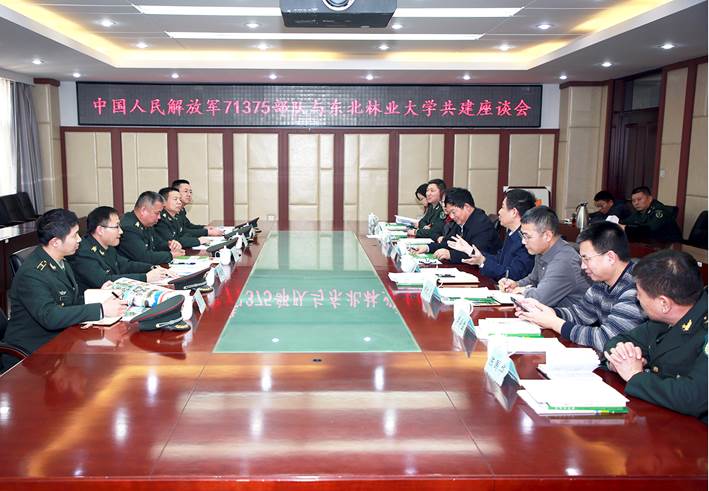 中國(guó)人民解放軍61367部隊(duì)，光榮與使命的象征，中國(guó)人民解放軍61367部隊(duì)，光榮使命的象征